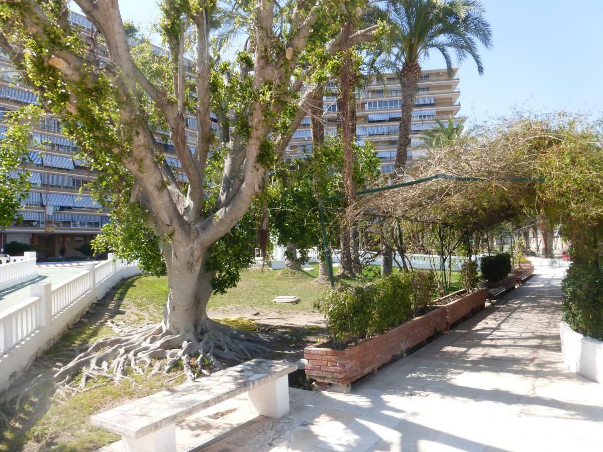 Family And Friends - San Juan Playa Apartment Alicante Exterior photo